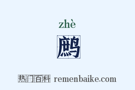 鹧是什么意思的图片